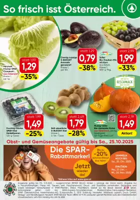 Spar Flugblatt (gültig bis 25-10)