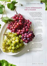 Alvo folder Pagina 61