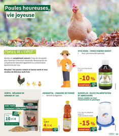 Horta folder Pagina 13