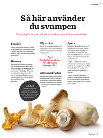 Hemköp reklamblad Sida 39