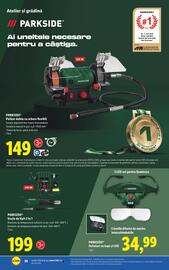 Catalog Lidl săptămâna 44 Pagină 38