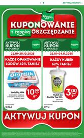 Żabka gazetka Strona 31