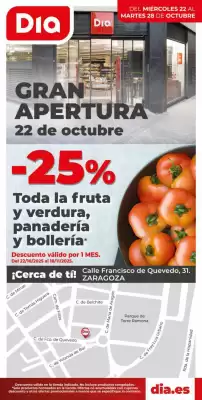 Folleto Dia (válido hasta el 28-10)