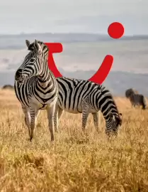 Folleto Tui Travel PLC Página 33