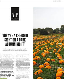Waitrose catalogue week 43 Page 32