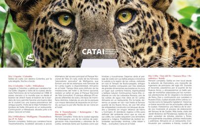 Catálogo Catai Página 91