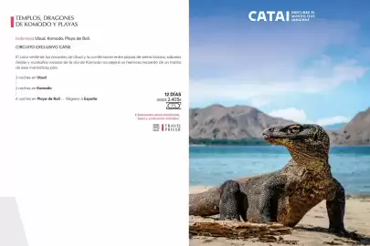 Catálogo Catai Página 107