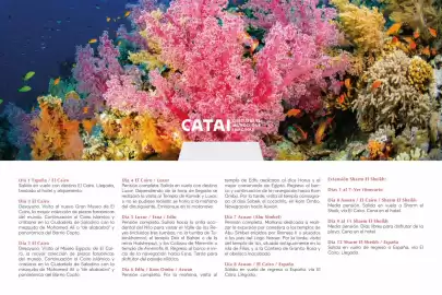 Catálogo Catai Página 51