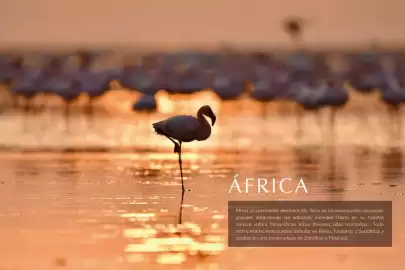 Catálogo Catai Página 62