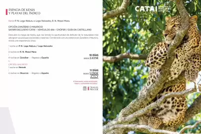 Catálogo Catai Página 66