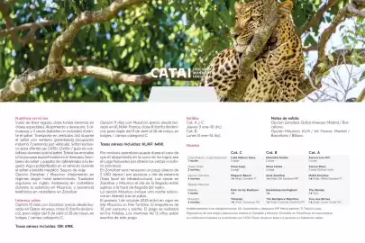 Catálogo Catai Página 68