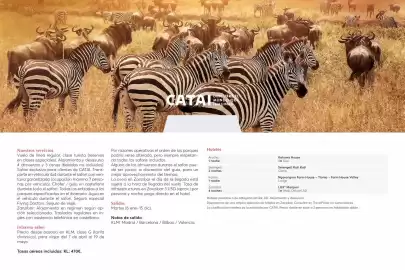 Catálogo Catai Página 71