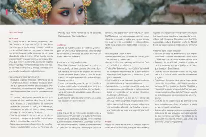 Catálogo Catai Página 81