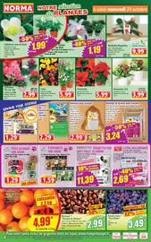 Catalogue Norma semaine 44 page 4