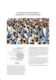 Flight Centre brochure Page 6