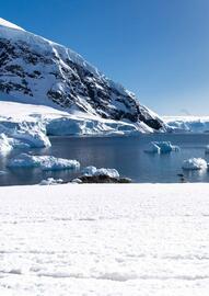 Flight Centre brochure Page 22