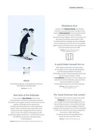 Flight Centre brochure Page 25