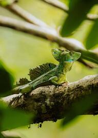 Flight Centre brochure Page 5