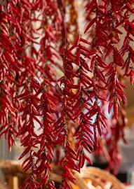 Flight Centre brochure Page 54