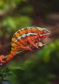 Flight Centre brochure Page 62