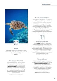 Flight Centre brochure Page 65