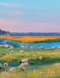 Flight Centre brochure Page 47