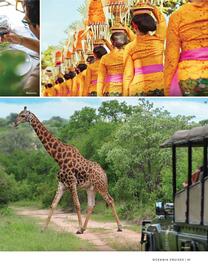 Flight Centre brochure Page 51