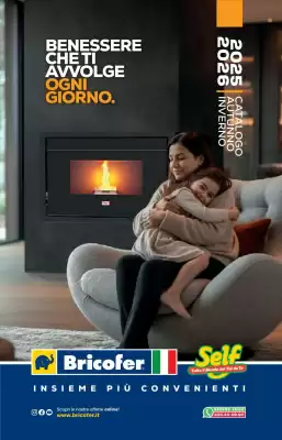 Volantino Bricofer (valido fino al 28-02)