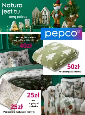 Pepco gazetka (ważność do 20-11)