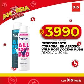 Folleto Supermercados DIA Página 3