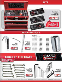 AutoZone catalogue Page 17