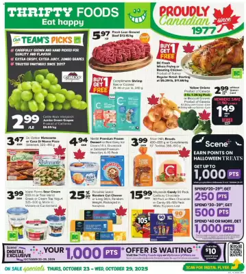 Thrifty Foods flyer (valid until 29-10)