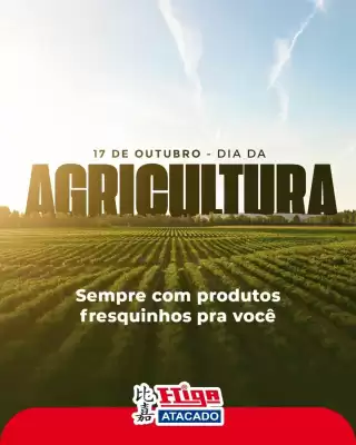 Folheto Higa Atacado (válido até 31-10)