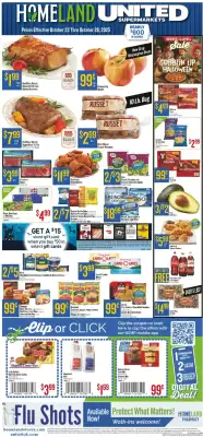 Homeland Market weekly ad (valid until 29-10)