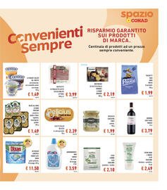 Volantino Spazio Conad Pagina 17