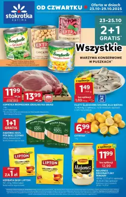 Stokrotka Optima gazetka (ważność do 29-10)
