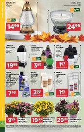 Stokrotka Market gazetka tydzień 43 Strona 16