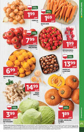 Stokrotka Market gazetka tydzień 43 Strona 9