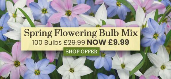 Dobbies catalogue Page 1