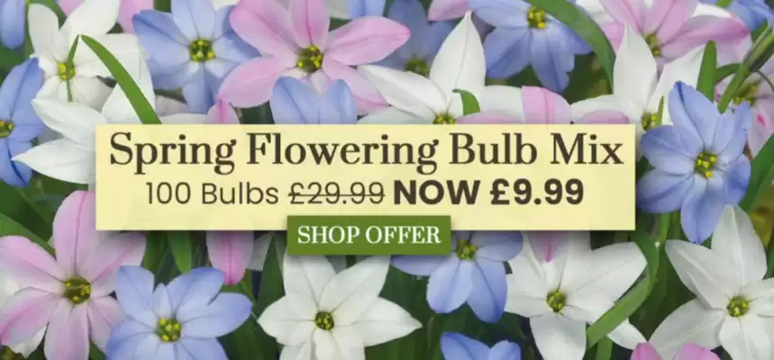 Dobbies catalogue (valid until 26-11)