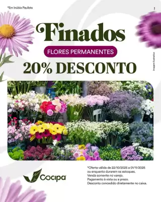 Catálogo Cocipa (válido até 1-11)