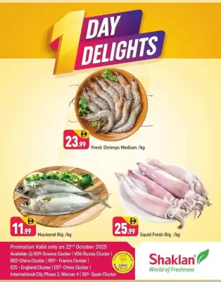 Shaklan leaflet