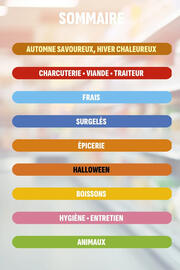 Catalogue Coccinelle Express page 2