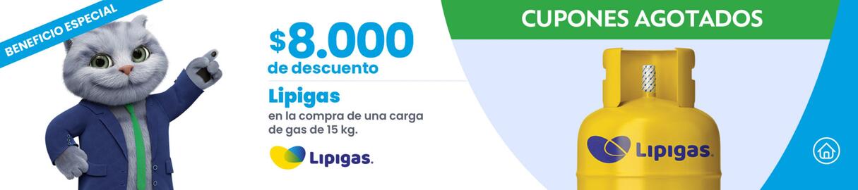 Catálogo Bice Vida Página 2