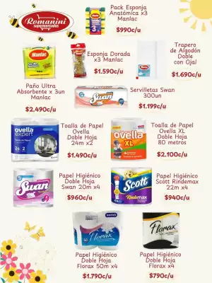 Catálogo Supermercados Romanini (válido hasta 5-11)