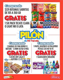 Folleto Mi Tienda del Ahorro Página 6