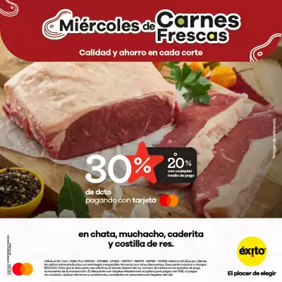 Catálogo Éxito (válido hasta 22-10)