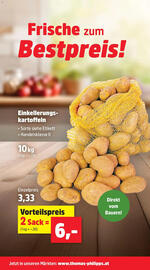 Thomas Philipps Prospekt Seite 17