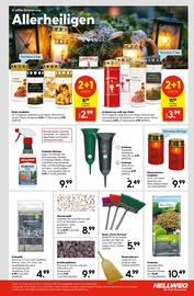 Hellweg Prospekt woche 43 Seite 23