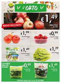 Volantino Coal Pagina 2